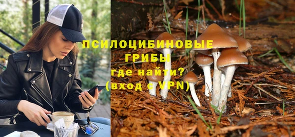 винт Каменногорск