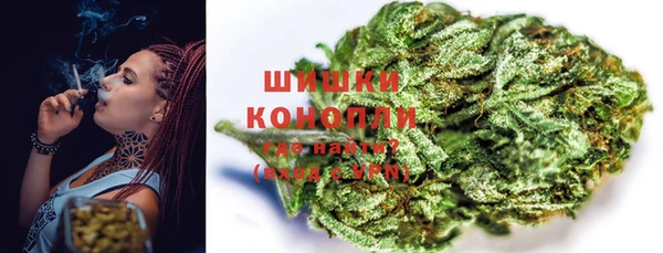 винт Инсар